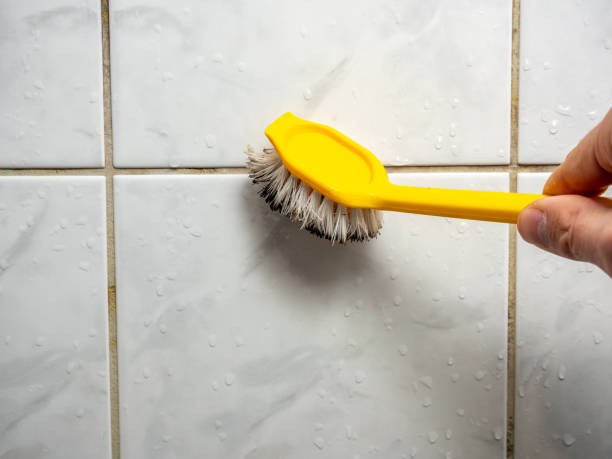 Best Toxic Mold Removal  in Watsontown, PA