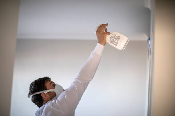 Attic Mold Removal in Watsontown, PA